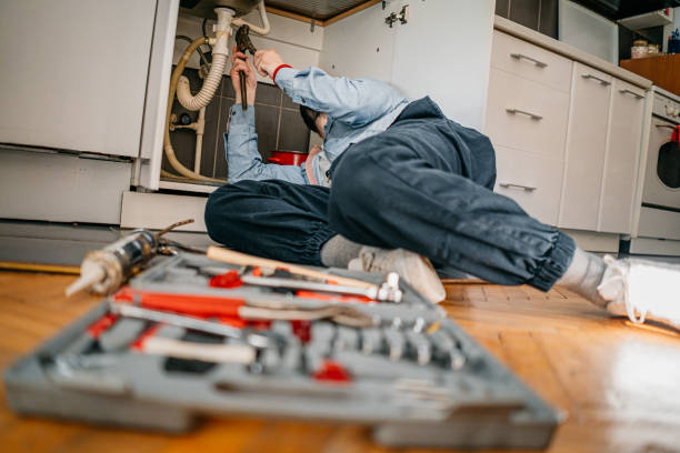 Best Sewer Line Repair  in Lexington, MI