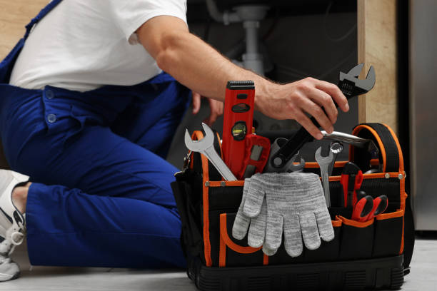 Best Water Leak Repair  in Lexington, MI