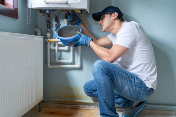 Best Affordable Plumbing Services  in Lexington, MI
